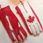 Cover image of Ski Glove
